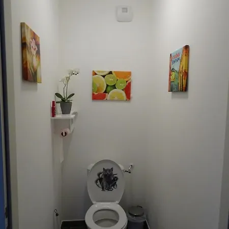 Sejour Inoubliable En Baie De Somme, Neuf سانت فاليري سور سوم